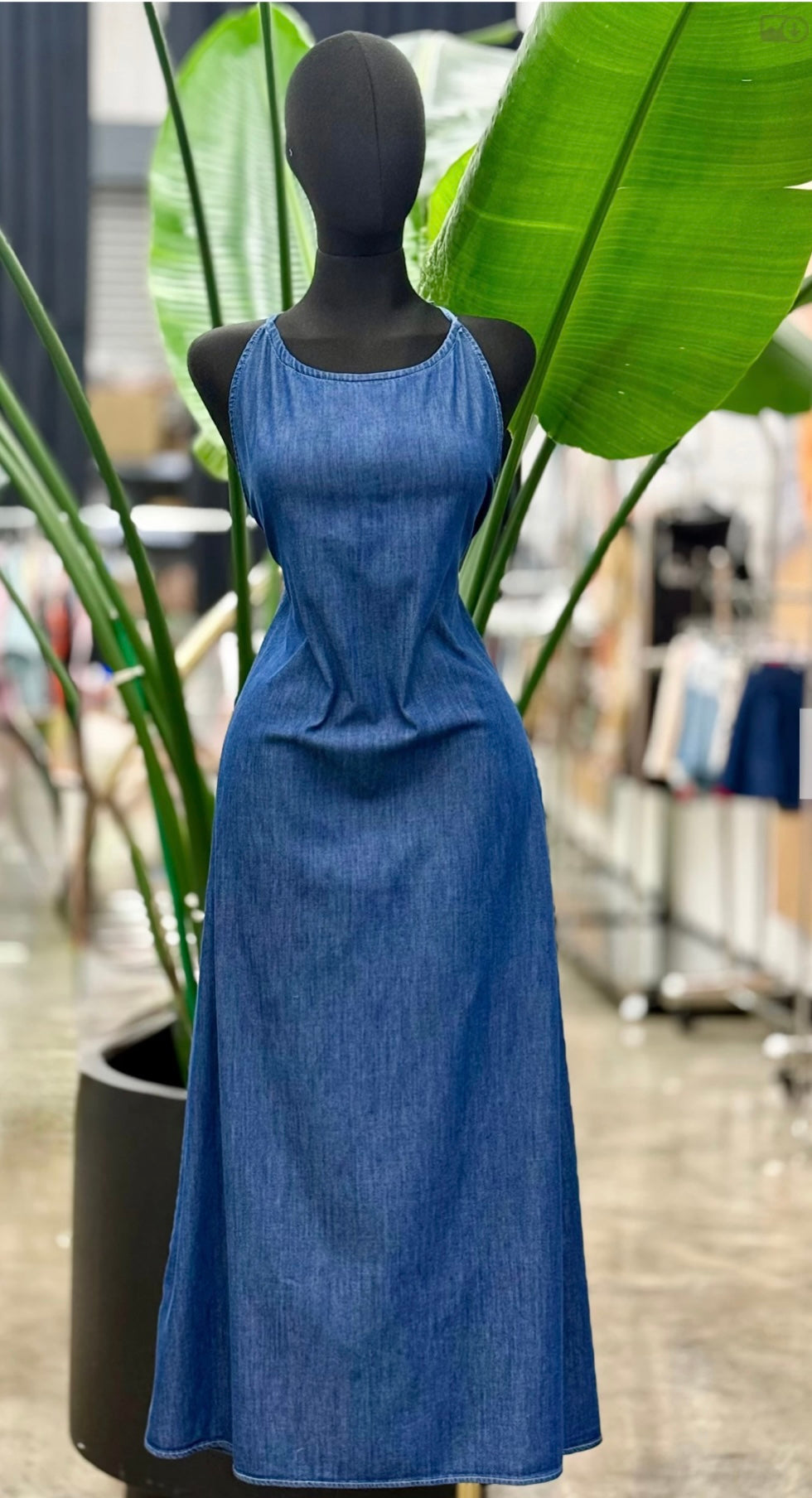 Catarina Denim Dress