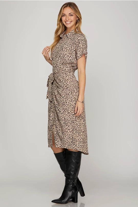 Ana Cristina Dress