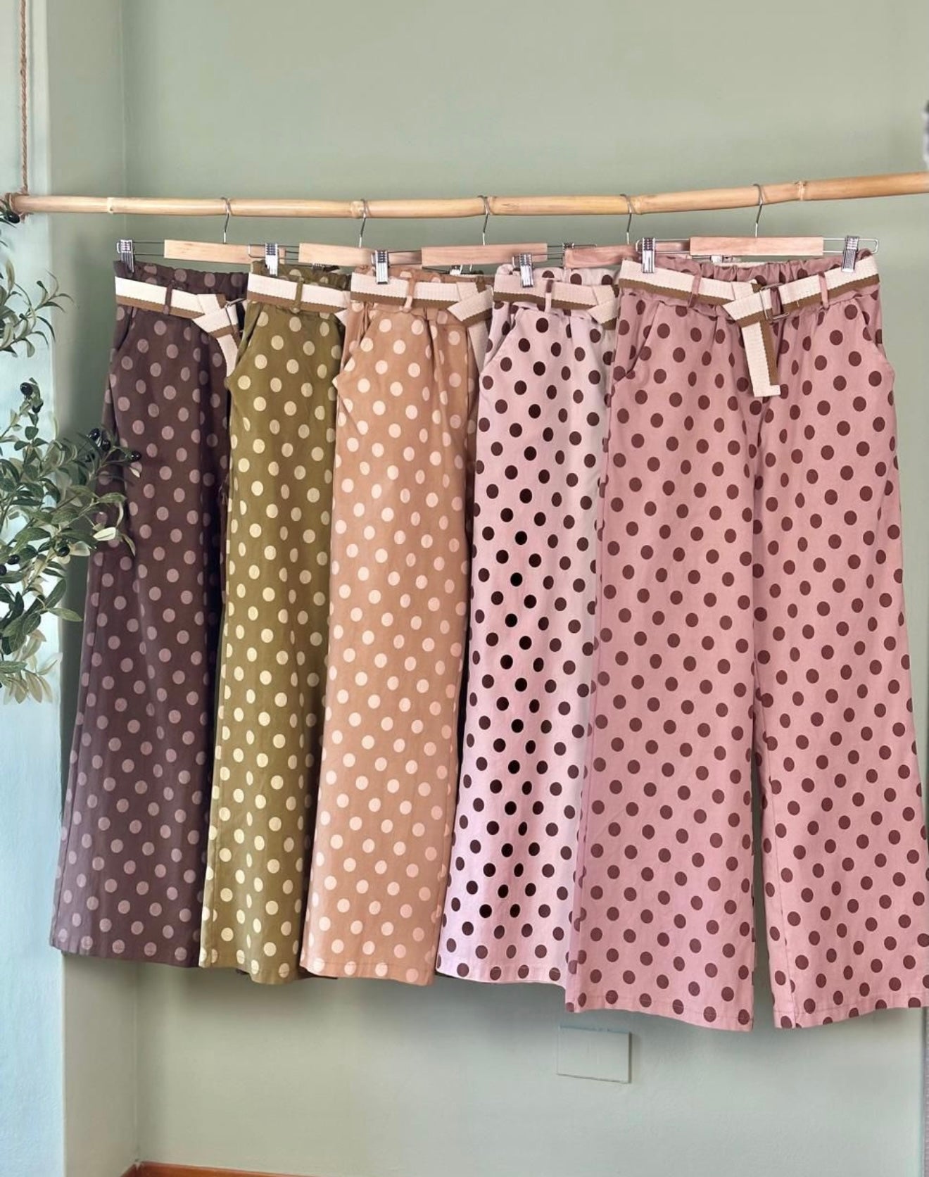 Glenda Brown & Cream Polka Dots Pants